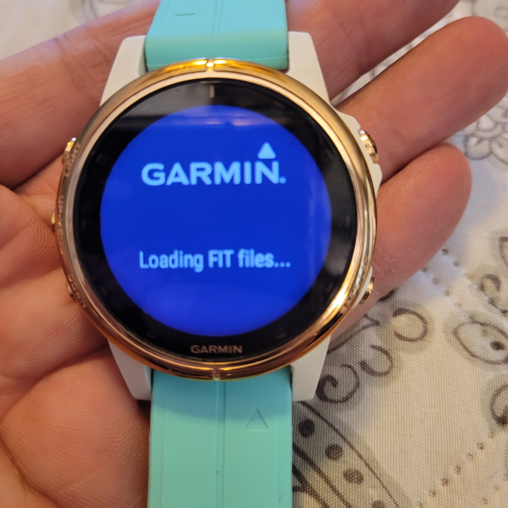 Garmin Fenix 5S Plus